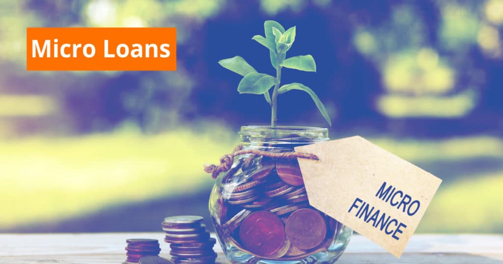 मायक्रो लोन (Micro Loan)